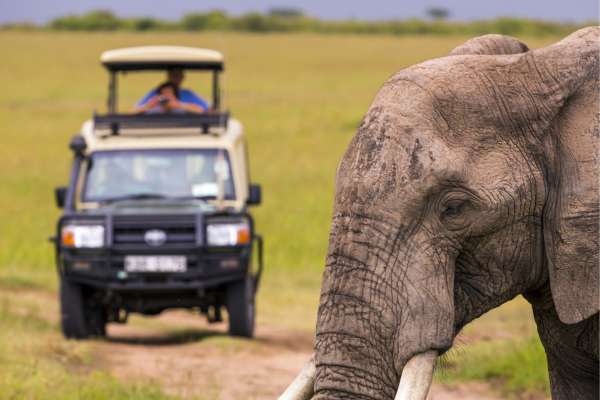 3-Day Masai Mara Safari Package