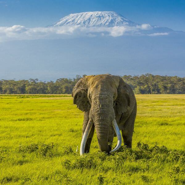 Tanzania